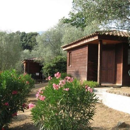 Gites Chalets De Grosseto-Prugna 외부 사진
