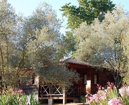 Gites Chalets De Grosseto-Prugna 외부 사진