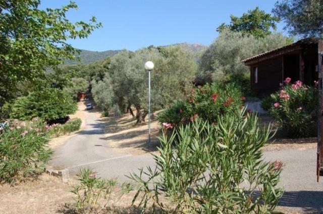 Gites Chalets De Grosseto-Prugna 외부 사진